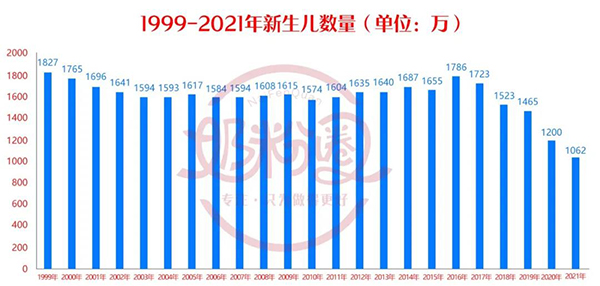 2021˿1062feOЈtPI2.jpg