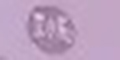 С(l)Ʒlogo