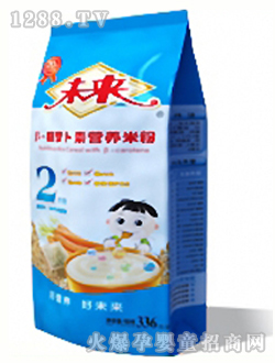 未來(lái)牌胡蘿卜素營(yíng)養(yǎng)米粉2段336g