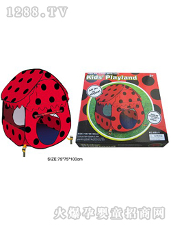 ���c�����͎���